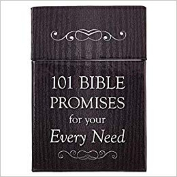 Picture of 101 Bible Promises For Your Every Need