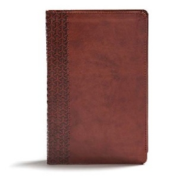 Picture of CSB Everyday Study Bible Tan Leathertouch