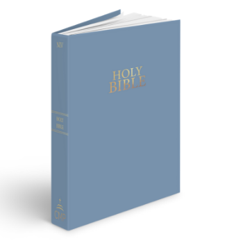 Picture of NIV Bible Giant Print Blue Vinyl