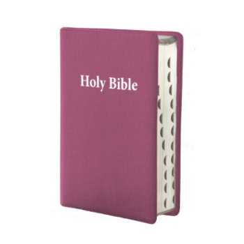 Picture of NIV Giant Print Luxury Linen Feel Cerise Bible