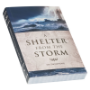 Picture of A Shelter From The Storm