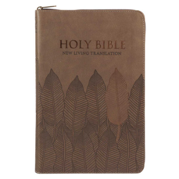 Picture of NLT Standard Bible Thumb Indexed With Zip