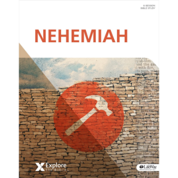 Picture of Nehemiah Workbook