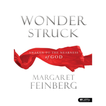 Picture of Wonderstruck Workbook