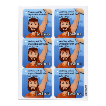 Picture of Collectible Tag of Joshua & Jericho