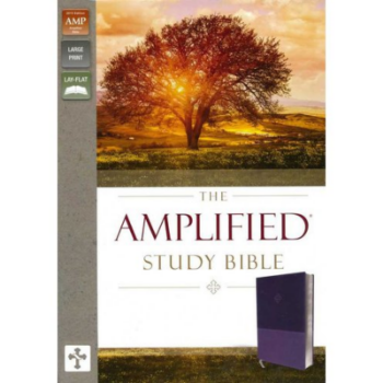 Picture of Amplified Study Bible Purple