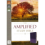Picture of Amplified Study Bible Purple