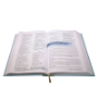 Picture of NIV Student Bible