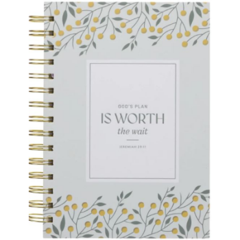 Picture of God's Plan Is Worth the Wait Hardcover Wirebound