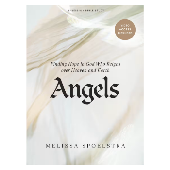 Picture of Angels Bible Study Workbook With Video Access