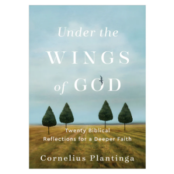 Picture of Under The Wings Of God