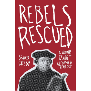Picture of Rebels Rescued