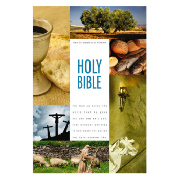 Picture of NIV Holy Bible Textbook Edition