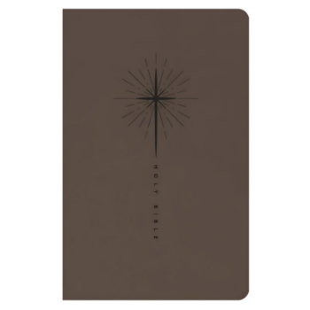 Picture of NLT Filament Premium Gift Bible Red Letter