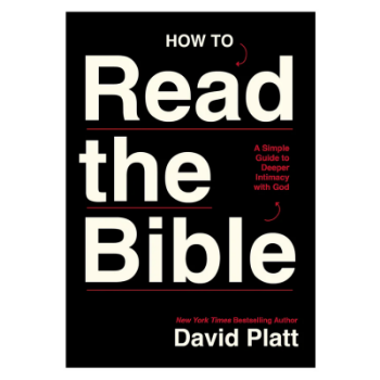 Picture of How to Read the Bible