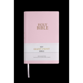Picture of NIV Giant Print Vinyl Blush Pink Bible