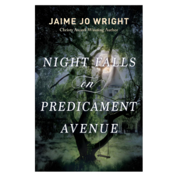 Picture of Night Falls On Predicament Avenue