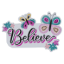 Picture of Magnet Believer
