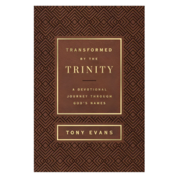 Picture of Transformed by the Trinity