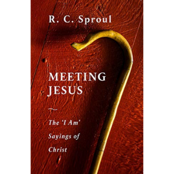 Picture of Meeting Jesus