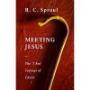 Picture of Meeting Jesus