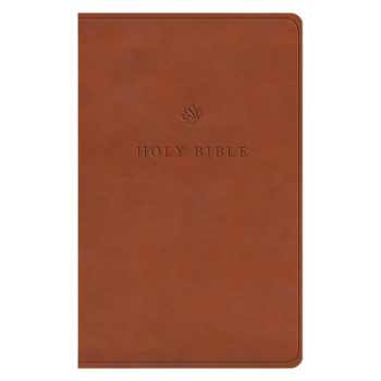 Picture of ESV Value Thinline Bible