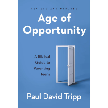 Picture of Age Of Opportunity